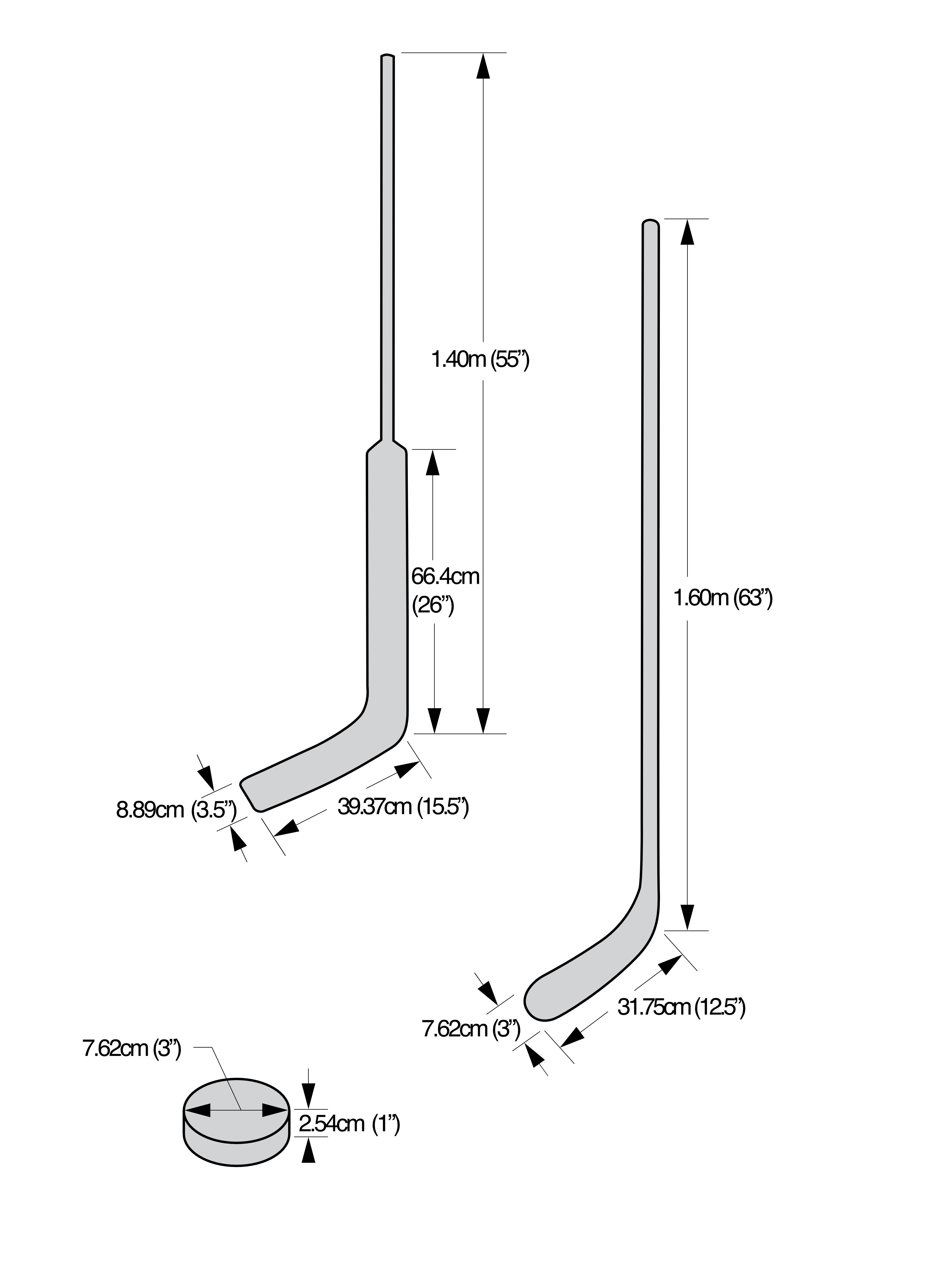appendix-b-goaltenders-stick-players-stick-and-puck.jpg